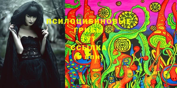 трава Арсеньев