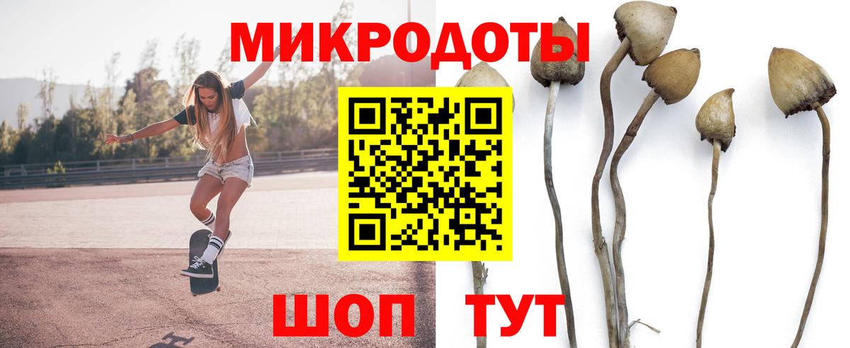 Белово  Псилоцибиновые грибы MAGIC MUSHROOMS  Вход с VPN 